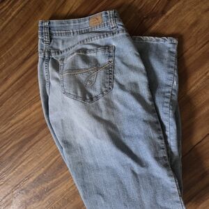 Jordache Classic Blue Skinny Jeans